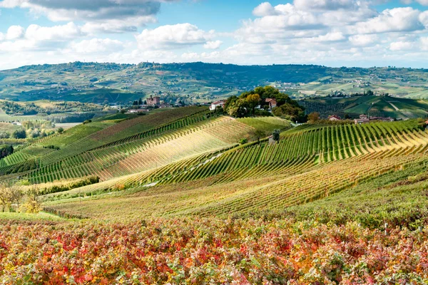 Jesień w wineyard — Zdjęcie stockowe