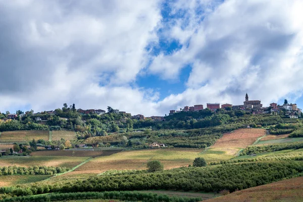 Jesień w wineyard — Zdjęcie stockowe