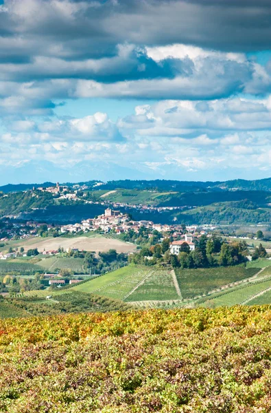 Otoño en el viñedo —  Fotos de Stock