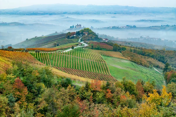 Autumn in the wineyard Stock Image