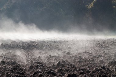 sonbahar renkleri ve peyzaj mimarı