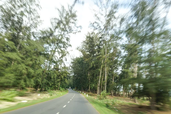Echte natürliche Autobahn-Straße mit Bewegungsunschärfe — Stockfoto