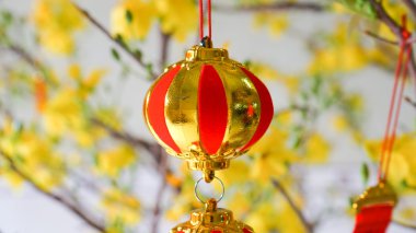 Kayısı çiçeği ve altın dekor