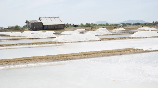 Salt lake at Vung Tau, Viet Nam.