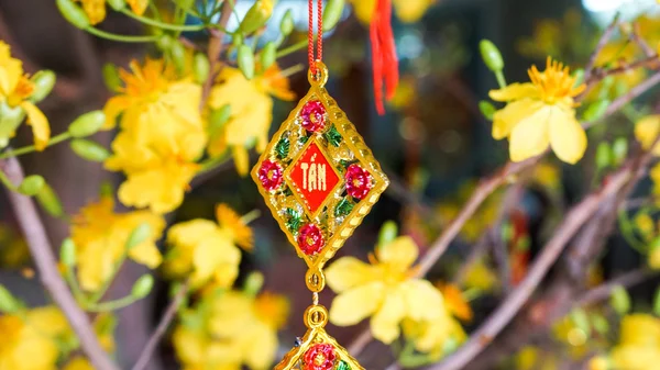 stock image Apricot blossom and gold decor