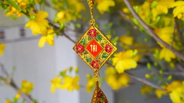 Apricot blossom and gold decor — Stock Photo, Image