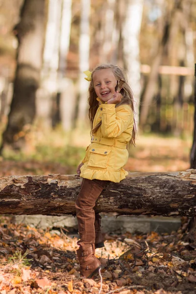 Vrolijk meisje zit op een gebroken boomstam in herfst bos — Stockfoto