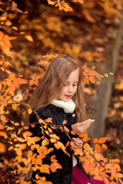 Nahaufnahme Porträt Eines Hübschen Kleinen Mädchens Das Herbstlichen Park Ruht — Stockfoto