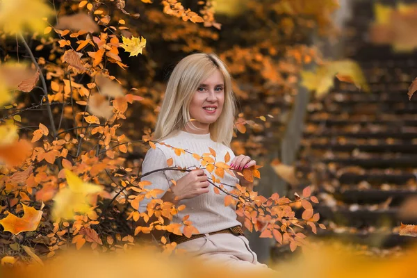 秋の天気を楽しむ女性 女の子の秋の肖像画 秋の公園を歩く — ストック写真