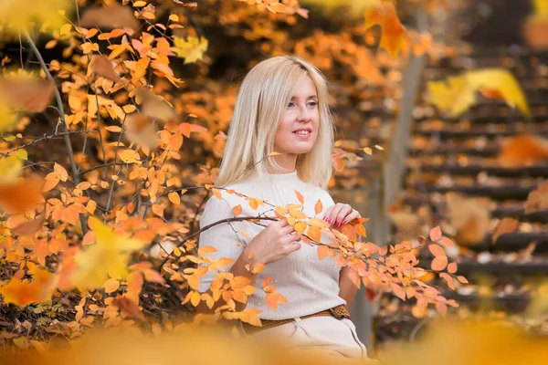 秋の天気を楽しむ女性 女の子の秋の肖像画 秋の公園を歩く — ストック写真