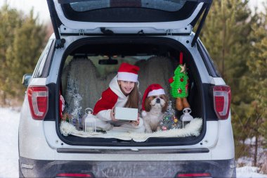 Şirin kız Noel için hazırlanıyor, Noel Baba şapkalı Shih Tzu köpeği olan kız Noel 'de araba süslemesinde oturuyor..