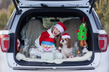 Şirin kız Noel için hazırlanıyor, Noel Baba şapkalı Shih Tzu köpeği olan kız Noel 'de araba süslemesinde oturuyor..