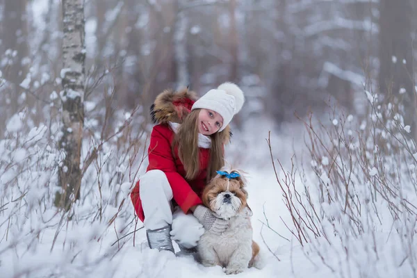 Mädchen Und Hund Spazieren Wald Stockbild