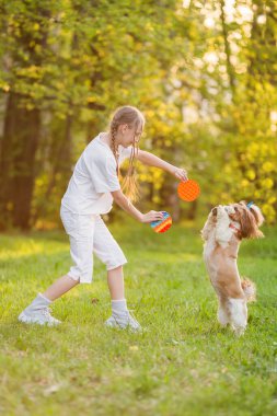 Bir kız, shih tzu köpeğiyle yeşil bir parkta koşup oynuyor. Yürüyüşe çıkmış bir çocuk, güneşli doğayla ilgili küçük bir köpeği eğitiyor. Çocuk Poppit Fidget Oyuncağı Oynayan Yaratıcı Resim