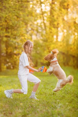 Bir kız, shih tzu köpeğiyle yeşil bir parkta koşup oynuyor. Yürüyüşe çıkmış bir çocuk, güneşli doğayla ilgili küçük bir köpeği eğitiyor. Çocuk Poppit Fidget Oyuncağı Oynayan Yaratıcı Resim