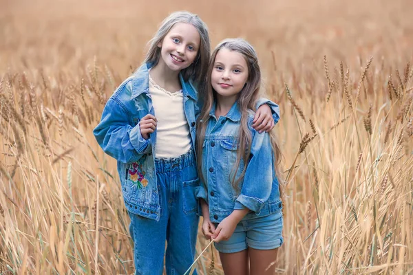 Nette Kleine Mädchen Schwestern Mit Blonden Haaren Einem Sommerfeld Fröhliche — Stockfoto