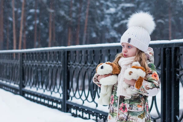 Bellezza invernale nevosa — Foto Stock