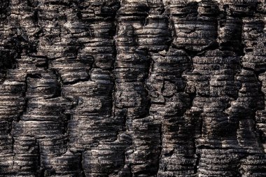  Siyah çizik ahşap arka planı kapatın. Kömürün yüzeyindeki detaylar