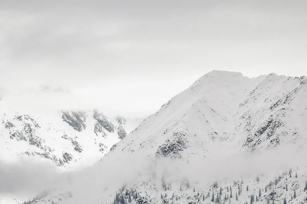 Madonna Campiglio Trentino Alto Adige Dolomiti Innevate Cielo Innevato — Foto Stock