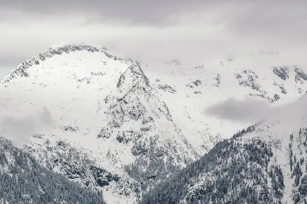 Madonna Campiglio Trentino Alto Adige Italy Доломіти Вкриті Снігом Гори — стокове фото