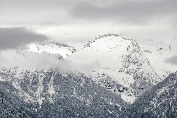 イタリアのトレンティーノ アルト アディジェ州マドンナ カンピリオ 雪に覆われたドロマイト山脈 — ストック写真