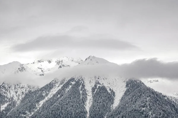 Madonna Campiglio Trentino Alto Adige Italy Доломіти Вкриті Снігом — стокове фото