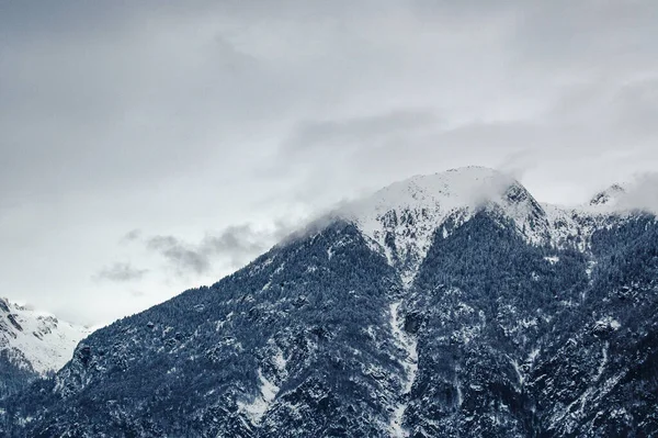 Madonna Campiglio Trentino Alto Adige Italië Dolomieten Besneeuwde Bergen Dennenbossen — Stockfoto