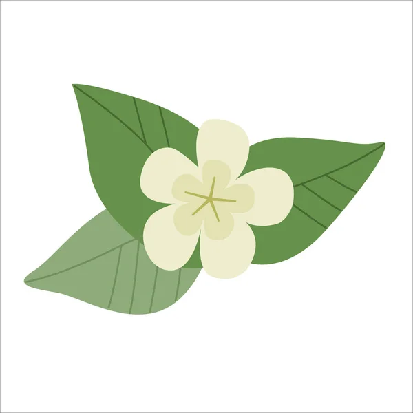 Світла квітка з трьома зеленими листям — стоковий вектор
