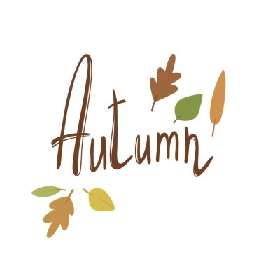 Tebrik kartları ya da posterler için farklı sonbahar yaprakları olan güzel sonbahar mektupları.