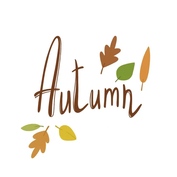 秋天美丽的字母，用不同的秋天叶子做贺卡或海报 — 图库照片