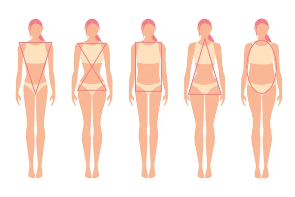 Diferentes tipos de figuras femininas. Sílhuetas femininas, formas geométricas. Ilustração plana vetorial isolada sobre fundo branco —  Vetores de Stock