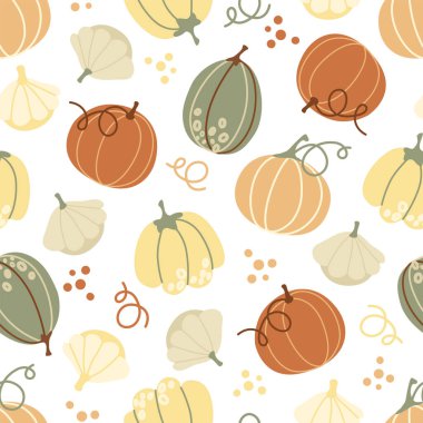 Cute pumpkins of different shapes on a white background. Vector seamless pattern