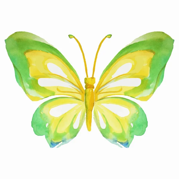 Acquerello a farfalla. Illustrazione vettoriale — Vettoriale Stock