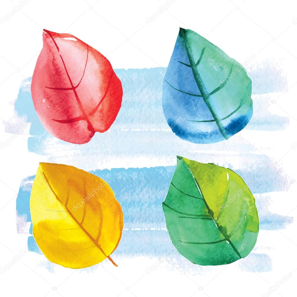 Watercolor leaves. Vector illustration