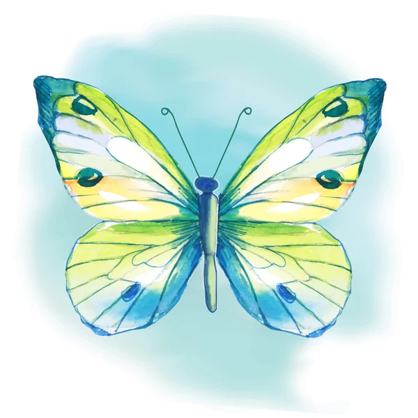 Acuarela mariposa. Ilustración vectorial . — Vector de stock