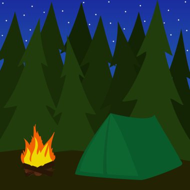 içinde kamp çam forrest