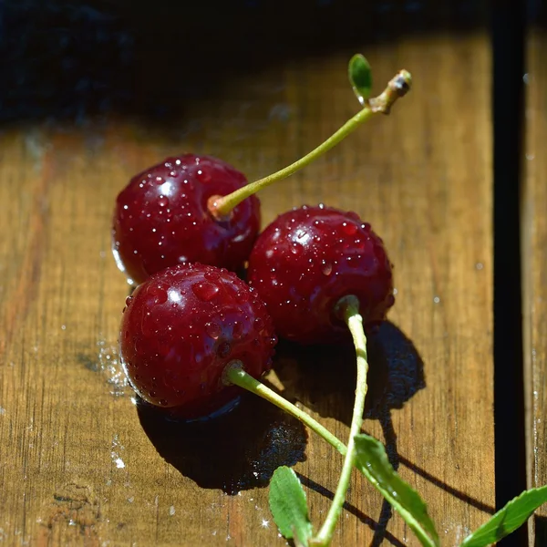 Üç Olgun Kiraz ahşap tablo