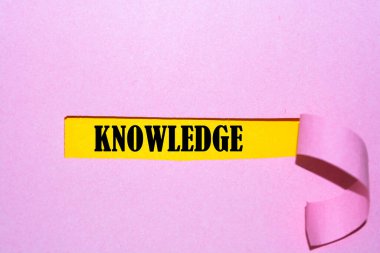 Yırtık kağıdın altında yazılan bilgi kelimesi