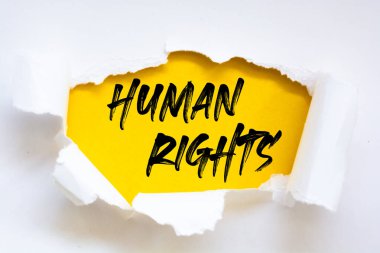 İnsan Hakları Sözcüğü yırtılan kağıtların altında.