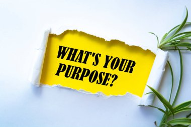 Amacınızı gösteren metin işareti?