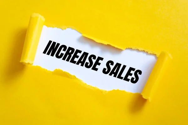 Text sign showing Increase Sales