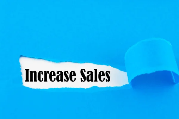 Text sign showing Increase Sales