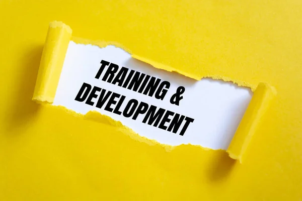 Text sign showing Training And Development