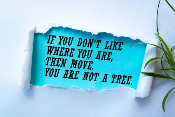 Inspirational Motivational Quote You Don You Move You Tree Simple — Stock Photo, Image