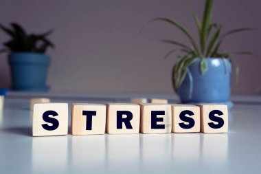 Masadaki parlak bir odada, tahta bloklardan yapılmış bir tabelanın üzerindeki 