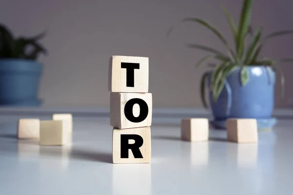TOR Terms of Reference- text on wooden cubes, on white background