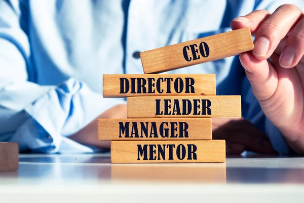 CEO konsepti olan tahta küpler. CEO 'nun resminin ve rolünün tarifi. Mali, pazarlama ve iş dünyası lideri konsepti.