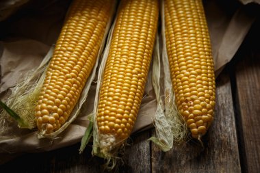 Kırsal ahşap masadaki koçandaki taze mısır. Yaklaş. Lezzetli ve sağlıklı yemekler..