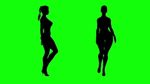 Мода модель девушки силуэт сексуальная фигура на высоком каблуке ходьба — стоковое видео