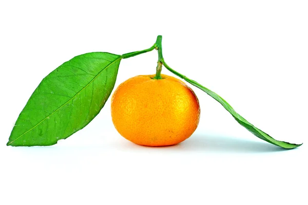 Narancs és zöld levél — Stock Fotó